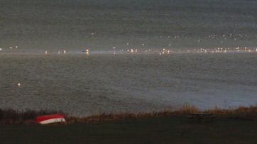 VED STRANDEN - LYSTRUP STRAND, maager.jpg